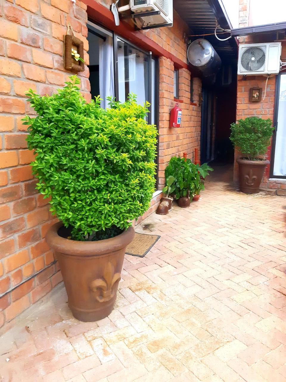 Niilo'S Guesthouse Rundu Exterior photo